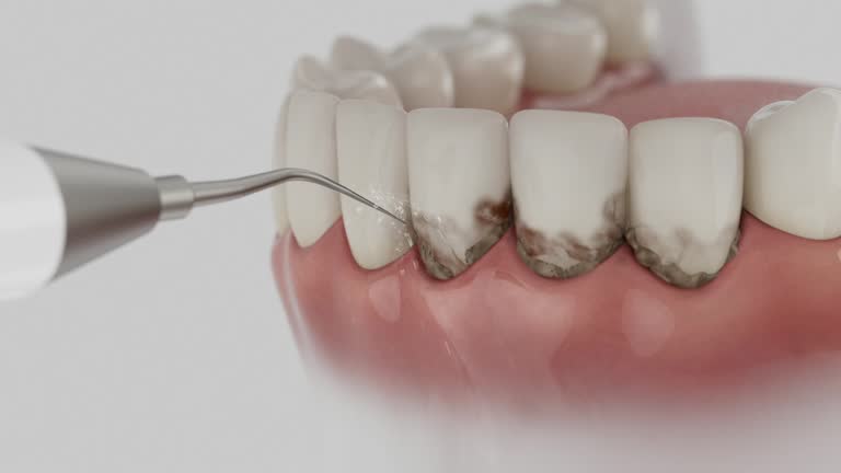 Reliable Dental contractor in Russell, PA by Dentist Open Now